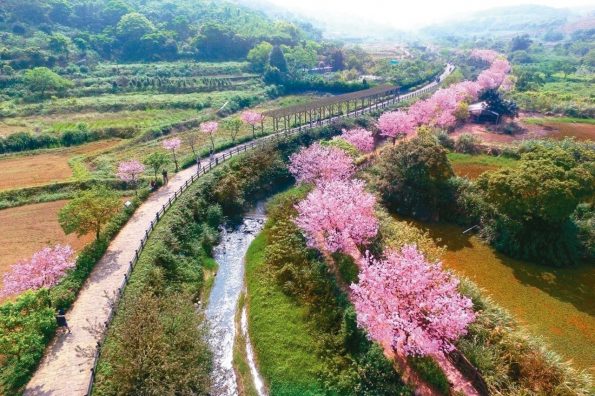 新竹一日游4大景点走透透 再逛东门市场品尝隐藏美食 – 艾斯旅店 IStay Taiwan