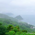 独享百万海景！花莲隐藏版云端秘境　矇眼穿越森林小径才能抵达